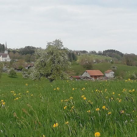 Billenberghof Apartment เซนต์กาลเลิน ภายนอก รูปภาพ