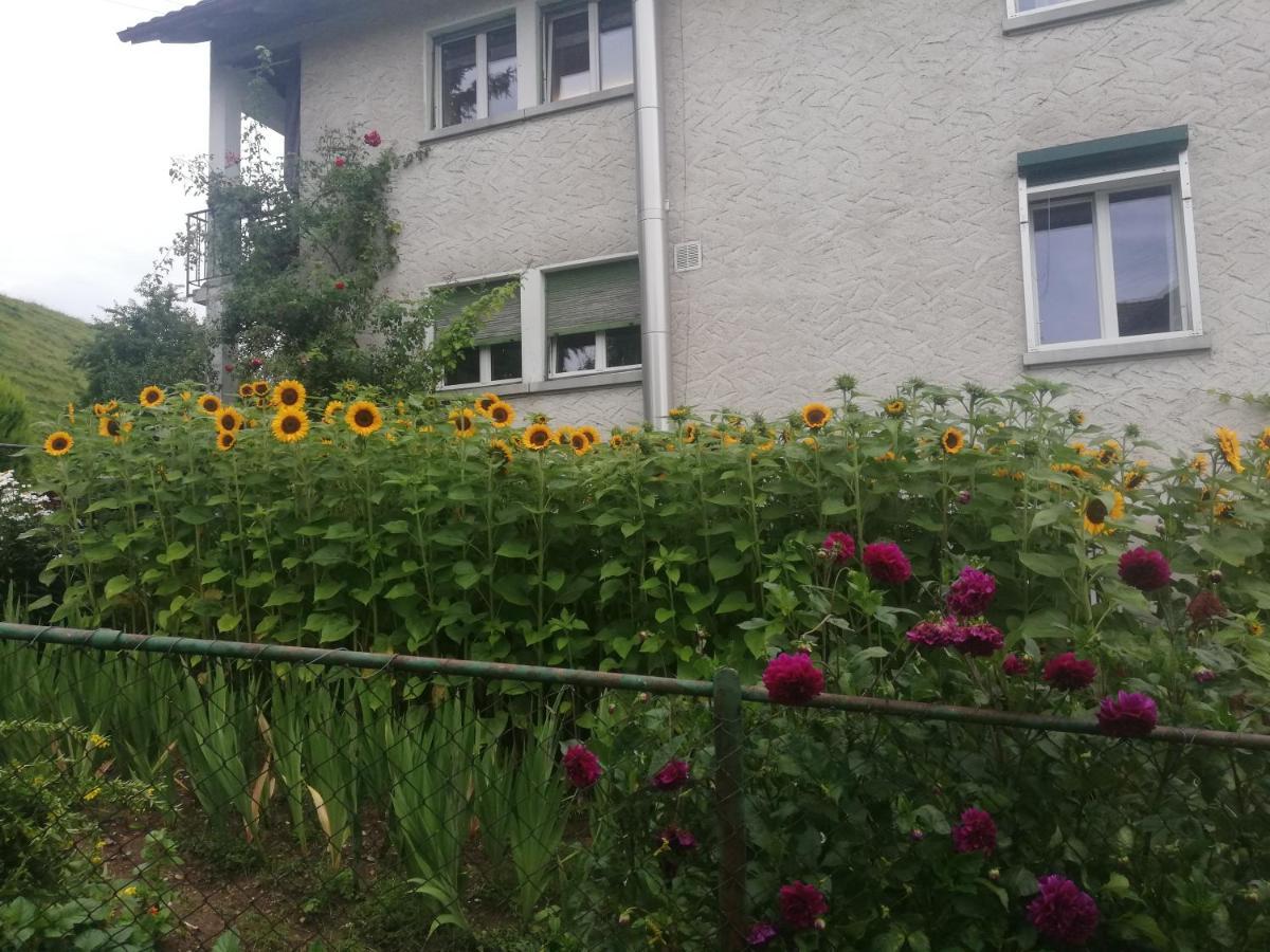 Billenberghof Apartment เซนต์กาลเลิน ภายนอก รูปภาพ