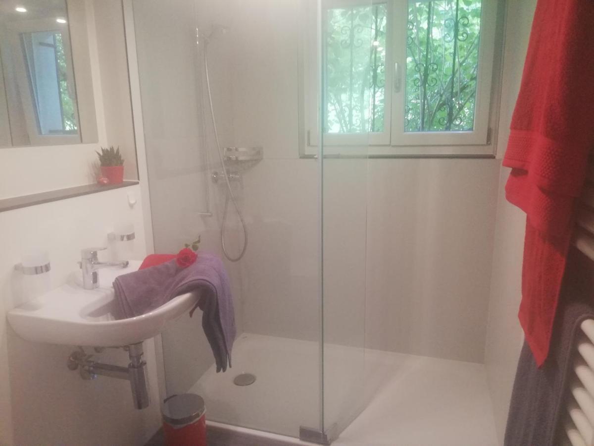 Billenberghof Apartment เซนต์กาลเลิน ภายนอก รูปภาพ