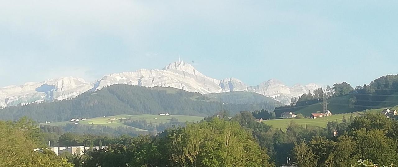 Billenberghof Apartment เซนต์กาลเลิน ภายนอก รูปภาพ